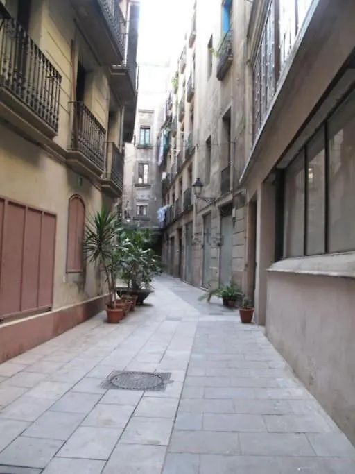Charm And Privacy In Gothic Quarter - Central Apt By Myrentalhost Barcelona Apartment